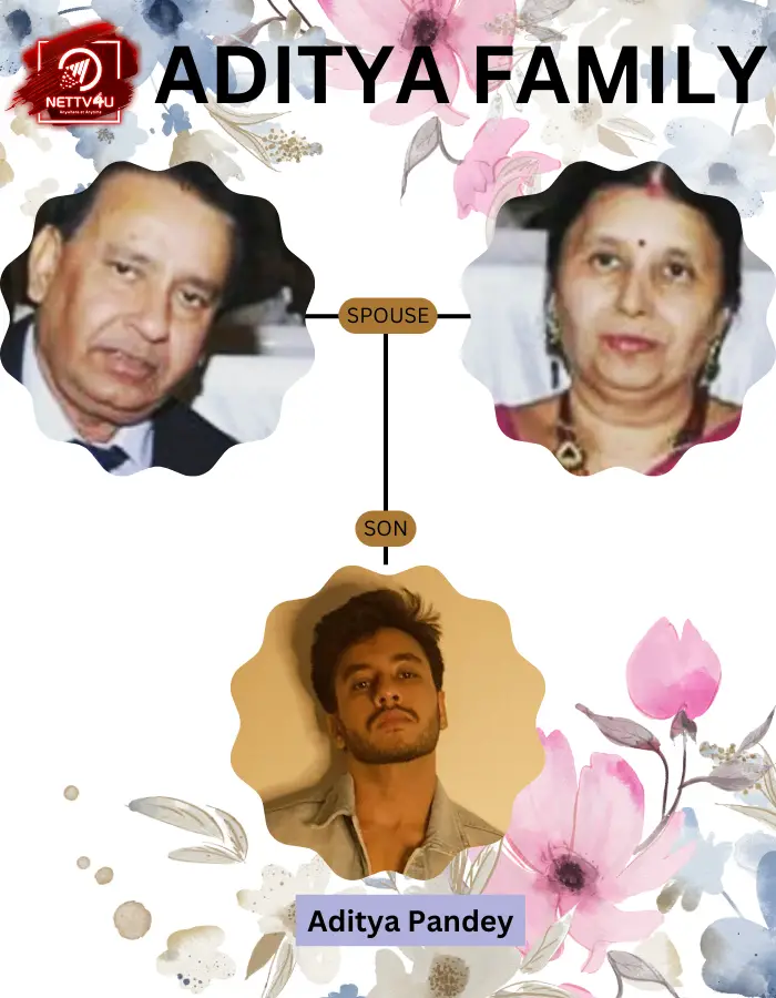 Aditya Pandey Family Tree 