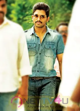 allu arjun latest hd pics in sarainodu movie nettv4u com