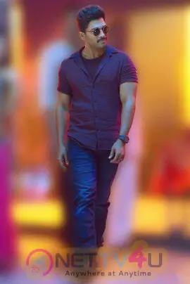 allu arjun latest hd pics in sarainodu movie nettv4u com