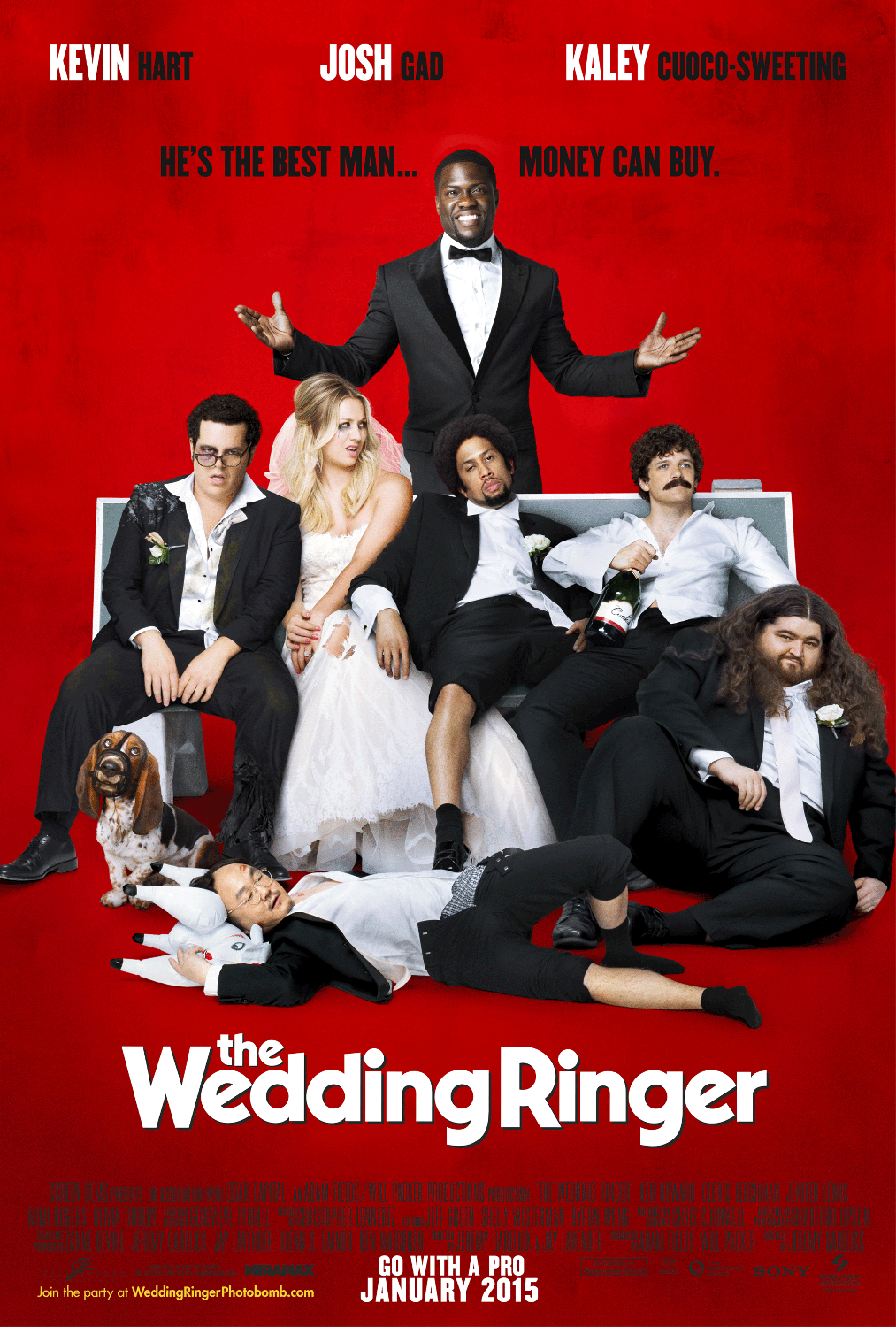The Wedding Ringer Movie Review English The Wedding Ringer Movie Review English