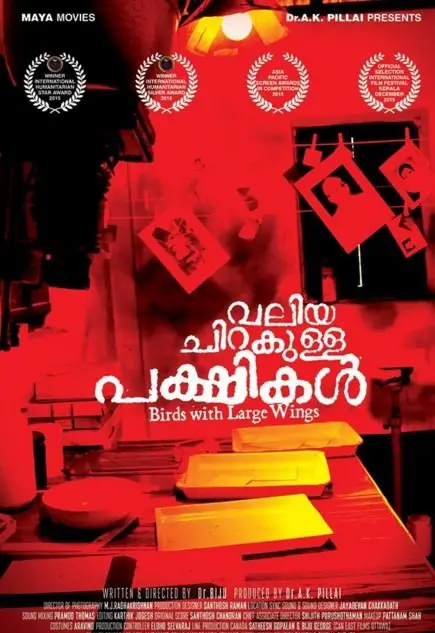 Valiya Chirakulla Pakshikal Review Malayalam Movie Review Valiya Chirakulla Pakshikal Review Malayalam Movie Review